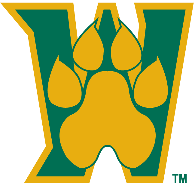 Wright State Raiders 2001-Pres Alternate Logo v4 diy iron on heat transfer